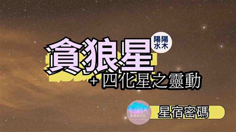 流年貪狼化忌|貪狼星配屬四化星之靈動